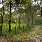 WildlifeGardenPano